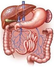 tractus gastro-intestinal